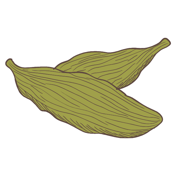 cardamome.png