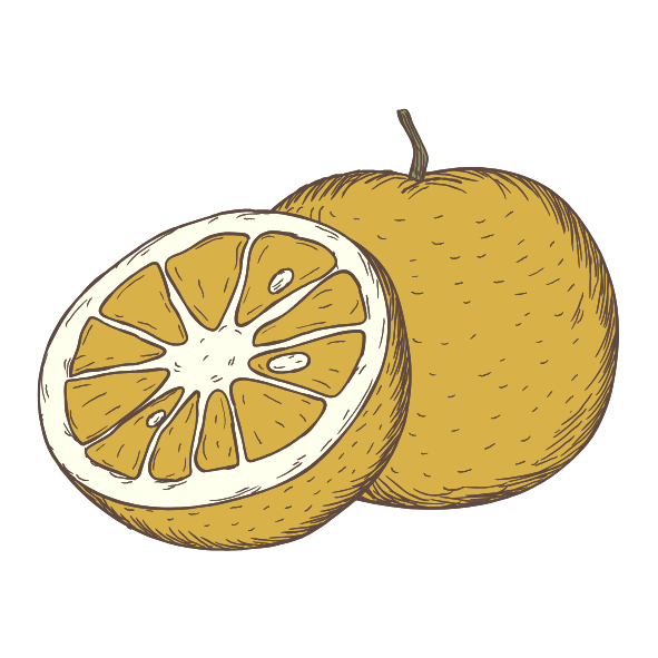 goyave.png
